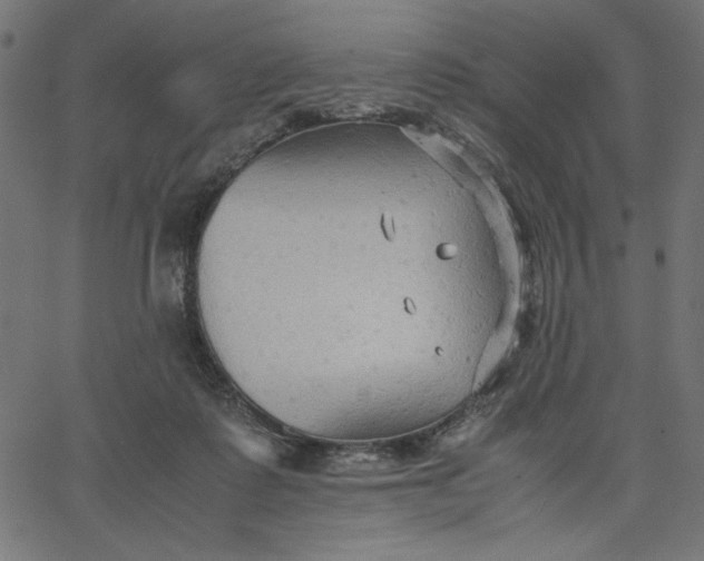 X0000067830315200604271601