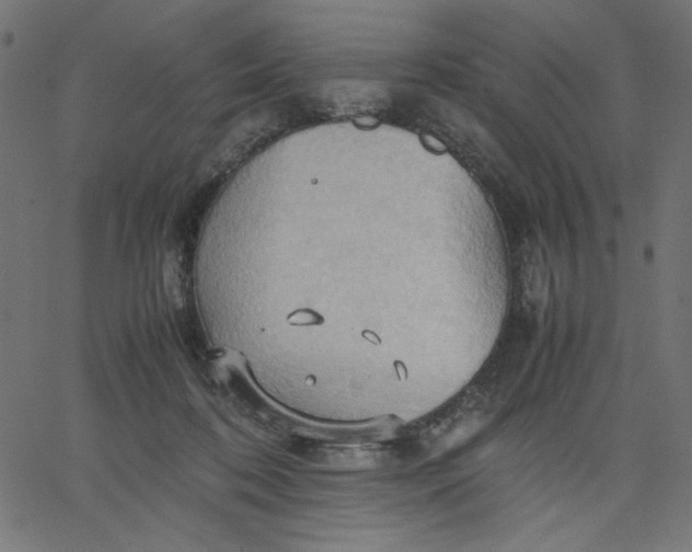 X0000067830316200604271601