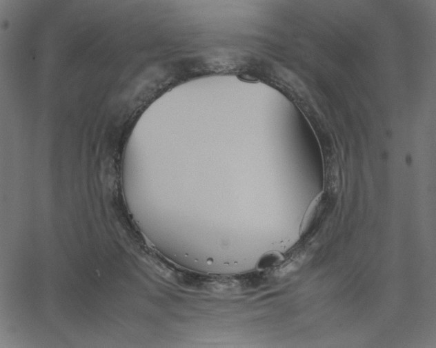 X0000067830317200604271601