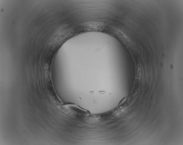 X0000067830318200604271601