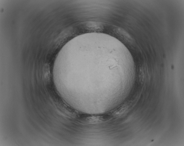 X0000067830320200604271601