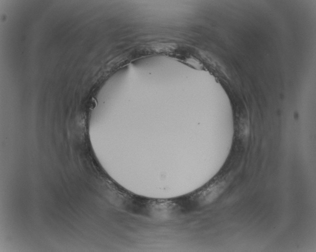 X0000067830321200604271601