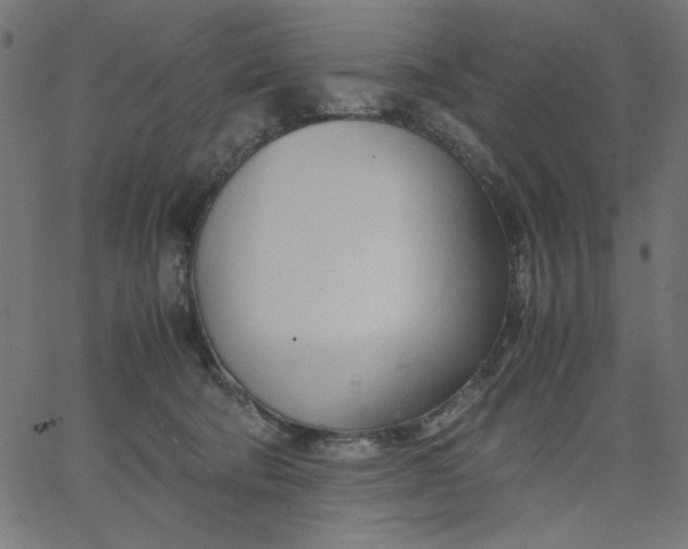 X0000067830322200604271601