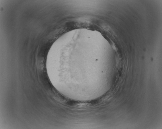 X0000067830323200604271601