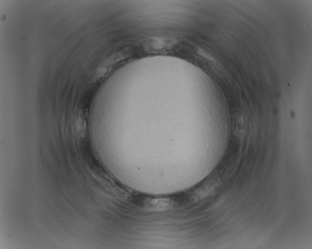 X0000067830324200604271601