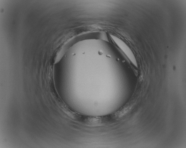 X0000067830325200604271601