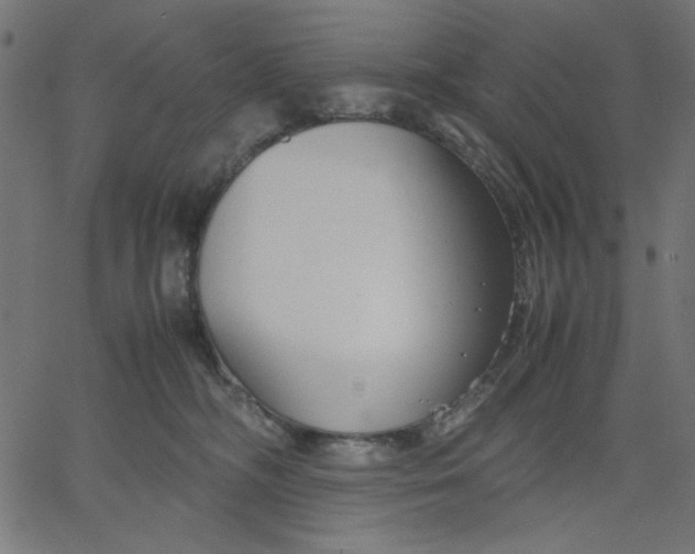 X0000067830326200604271601