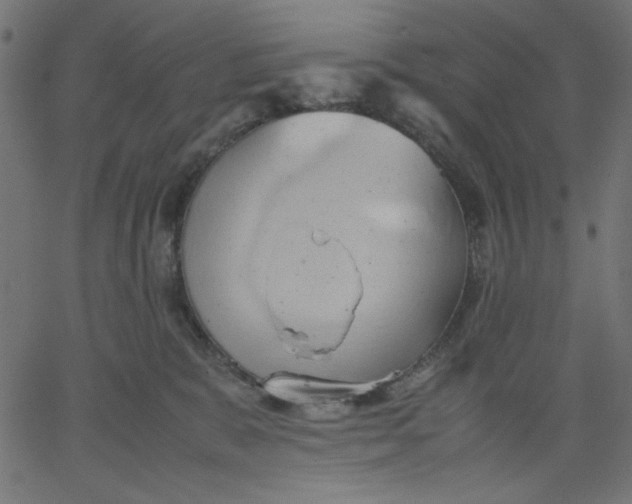 X0000067830327200604271601