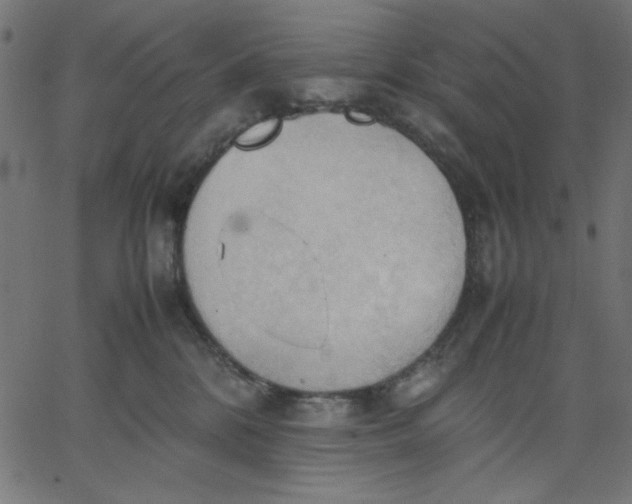 X0000067830328200604271601