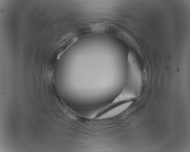 X0000067830329200604271601