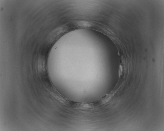 X0000067830330200604271601