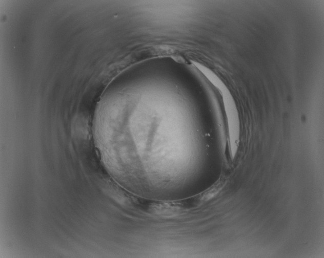 X0000067830331200604271601