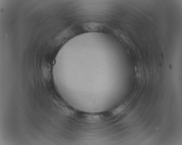 X0000067830332200604271601