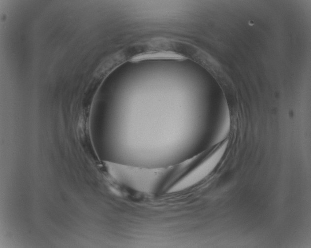 X0000067830333200604271601