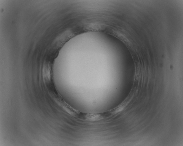 X0000067830334200604271601