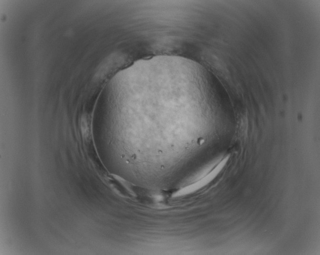 X0000067830335200604271601