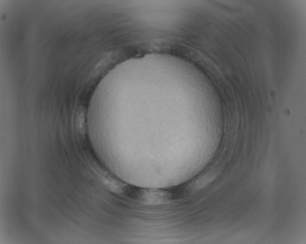 X0000067830336200604271601