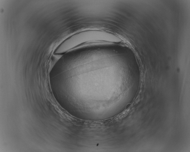 X0000067830337200604271600