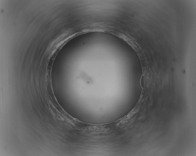 X0000067830338200604271600