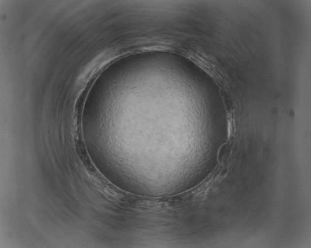 X0000067830339200604271600