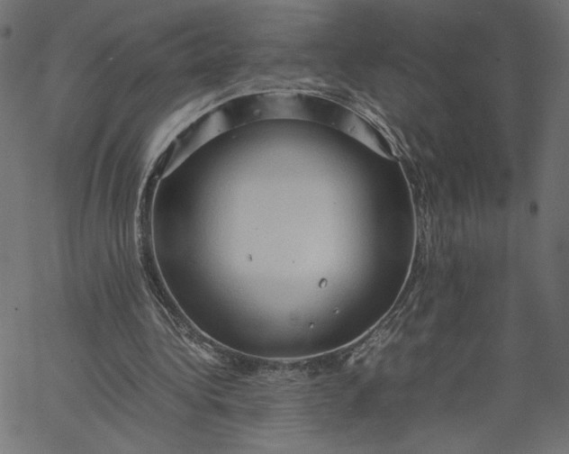 X0000067830340200604271600