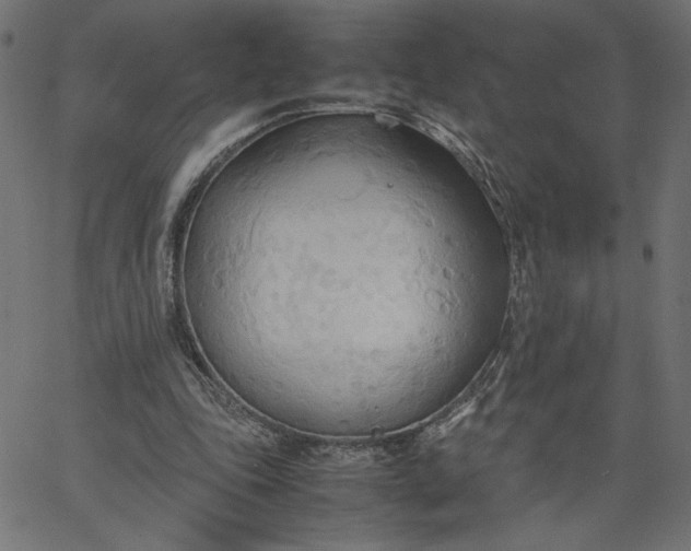 X0000067830343200604271600