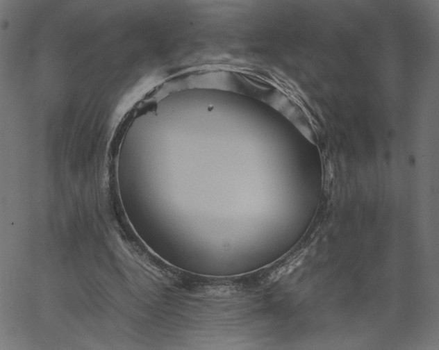 X0000067830344200604271600