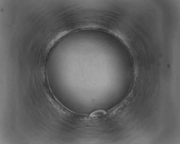 X0000067830345200604271600