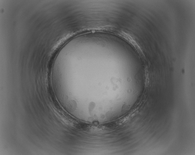 X0000067830346200604271600