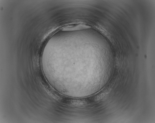 X0000067830347200604271600