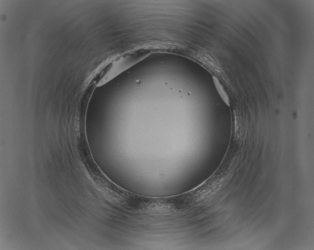 X0000067830348200604271600