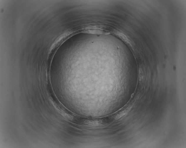 X0000067830349200604271600