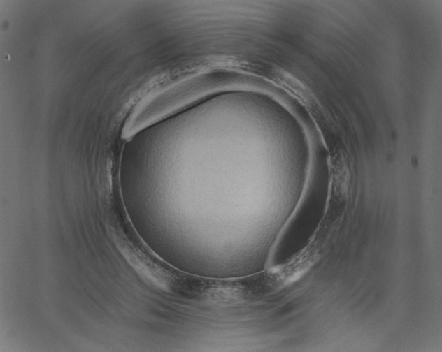 X0000067830350200604271600