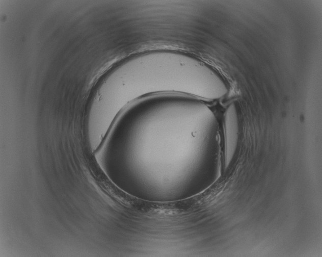 X0000067830352200604271600