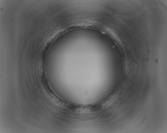 X0000067830354200604271600