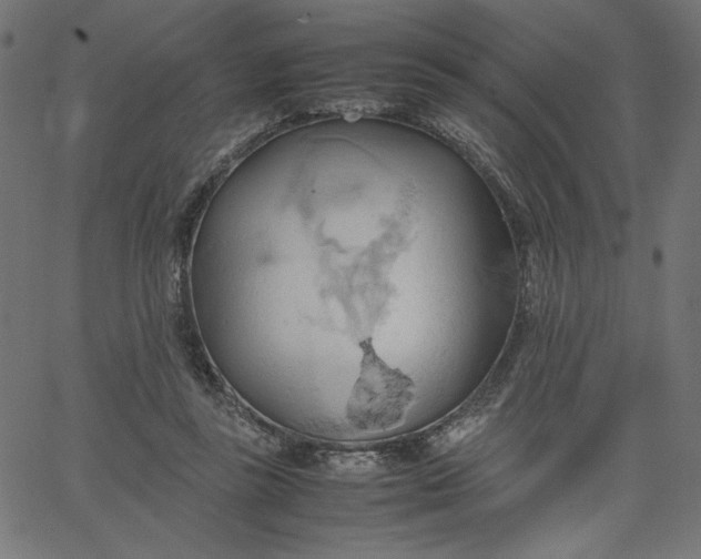 X0000067830355200604271600