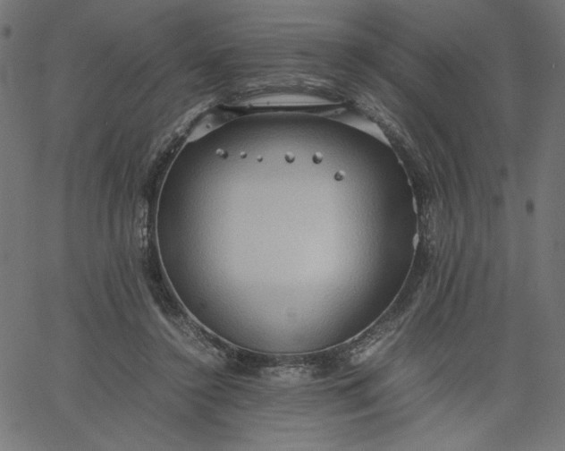 X0000067830356200604271600