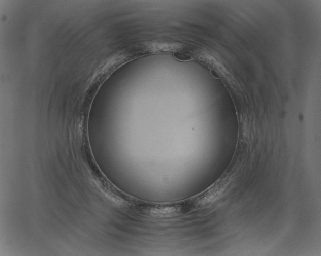 X0000067830357200604271600