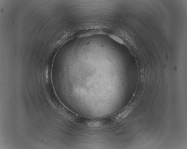 X0000067830358200604271600