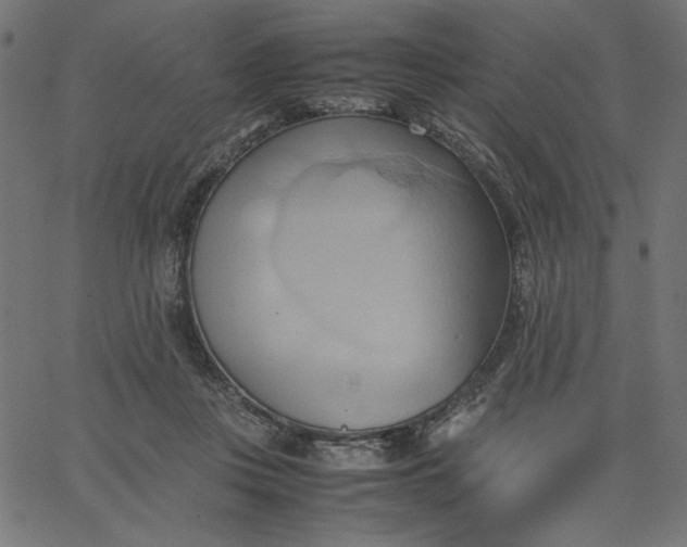 X0000067830359200604271600