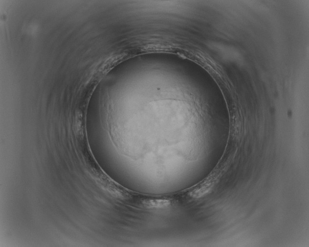 X0000067830361200604271600