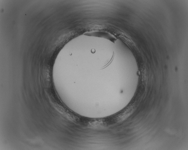 X0000067830362200604271600