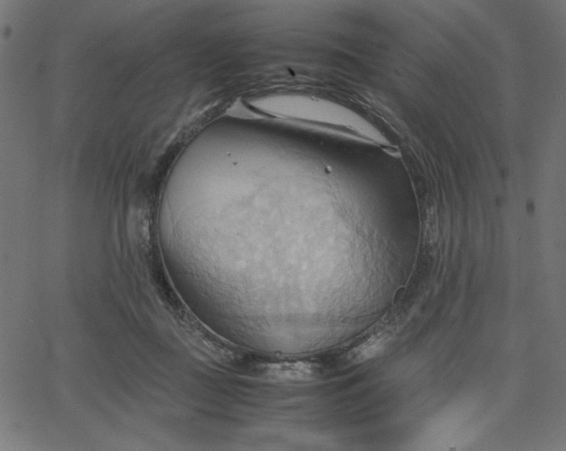 X0000067830363200604271600