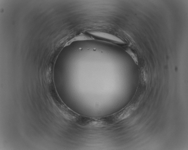 X0000067830364200604271600