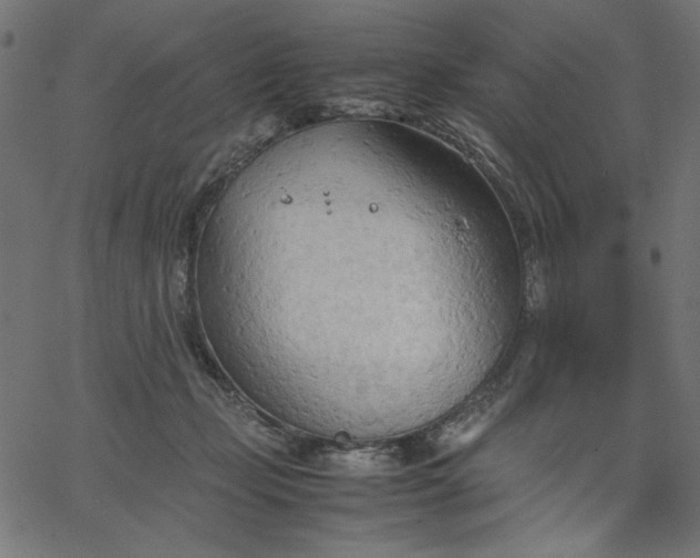 X0000067830365200604271600