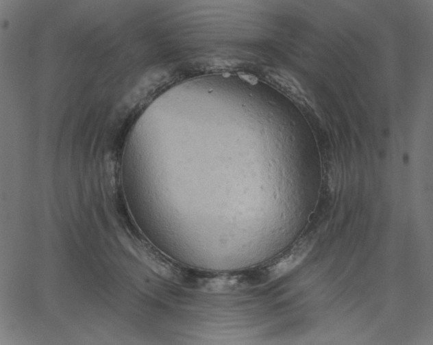 X0000067830366200604271600