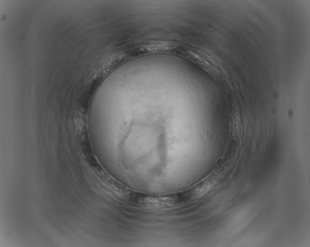 X0000067830367200604271600