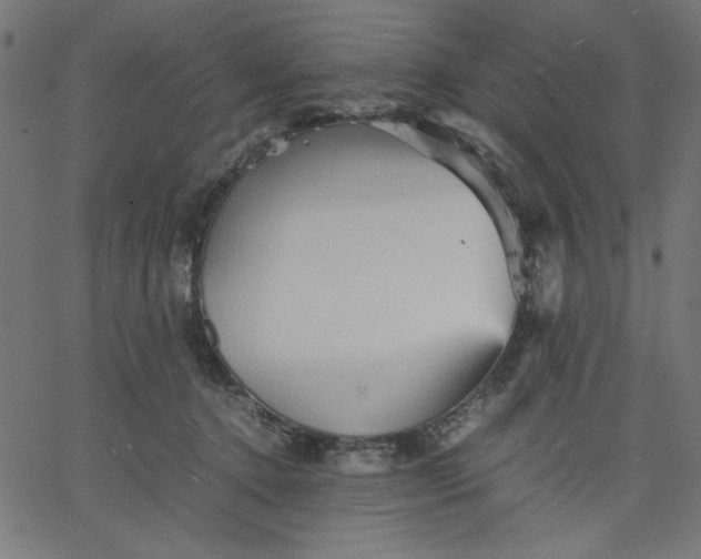 X0000067830368200604271600