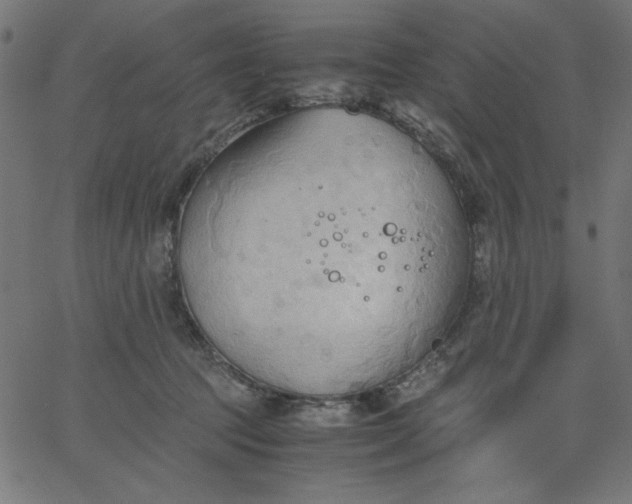 X0000067830369200604271600