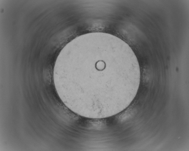 X0000067830370200604271600